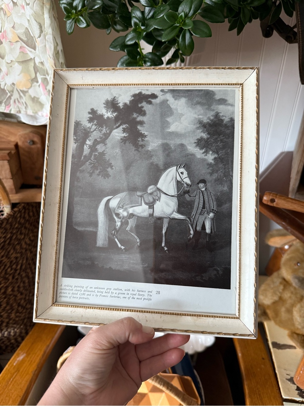 Framed Black & White Horse Print in Antique Frame